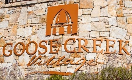 NEW ANIMAL HOSPITAL, STORES COMING TO GOOSE CREEK VILLAGE - The Burn