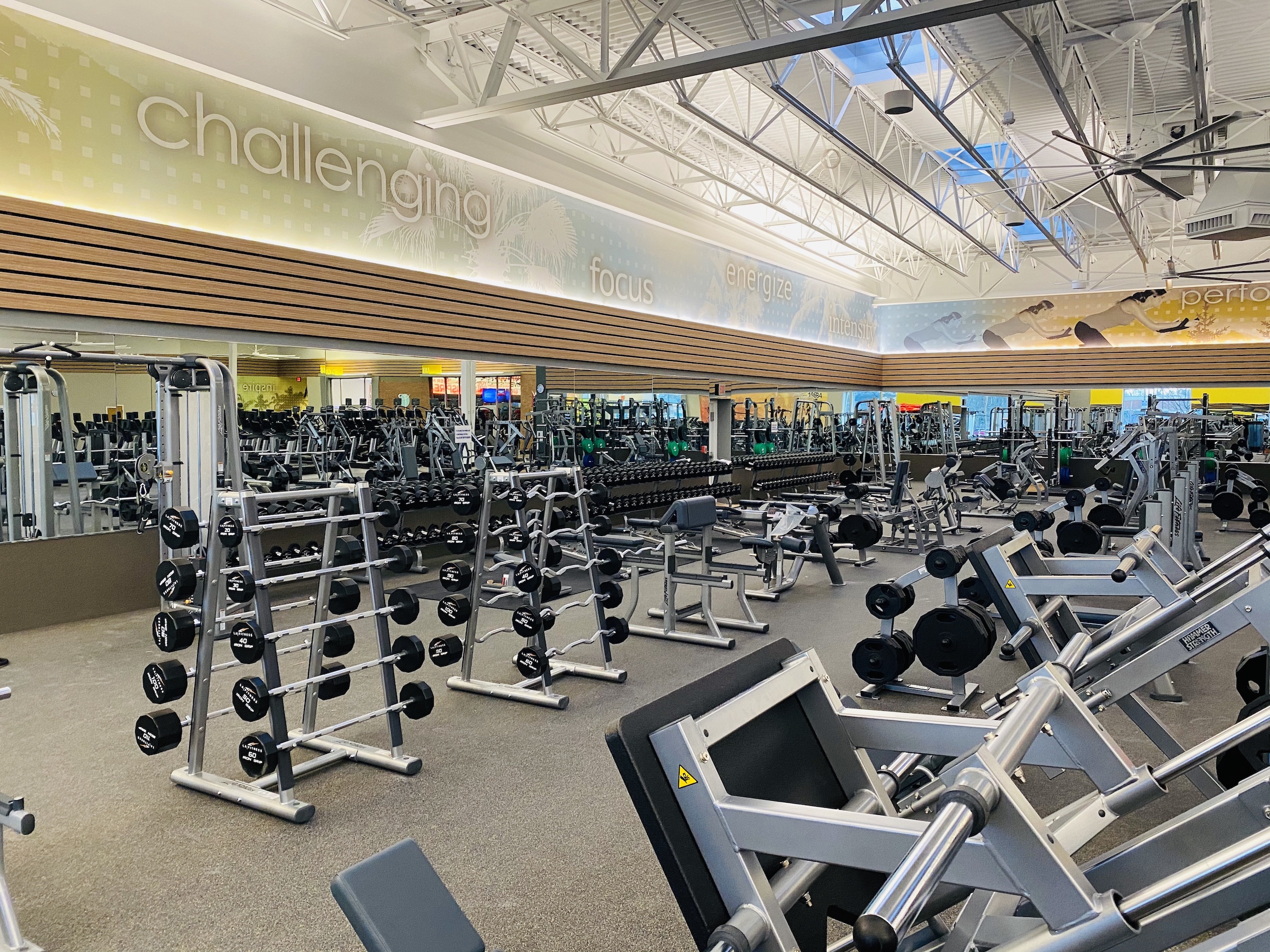 LA Fitness opens new 'Signature Club' at Alton Town Center in Palm Beach  Gardens