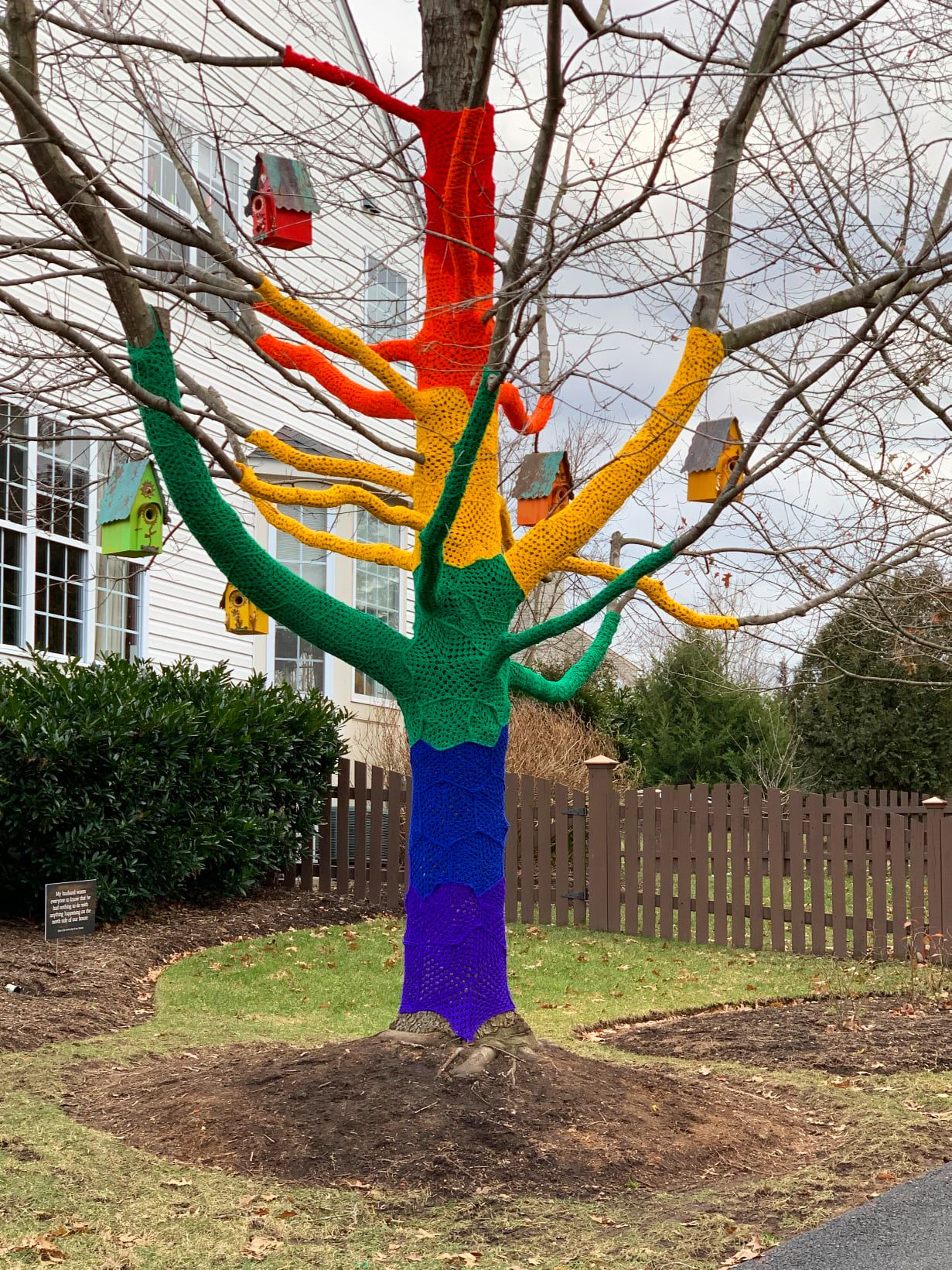 The Burn Kindness Rock Garden And Rainbow Tree Have Leesburg Buzzing The Burn