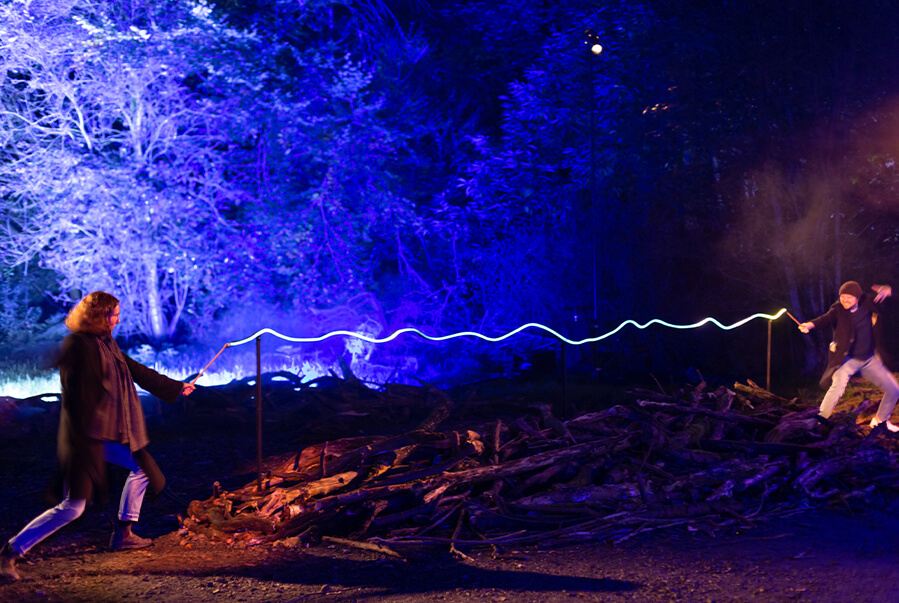Harry Potter’s Forbidden Forest making American debut in Loudoun The Burn
