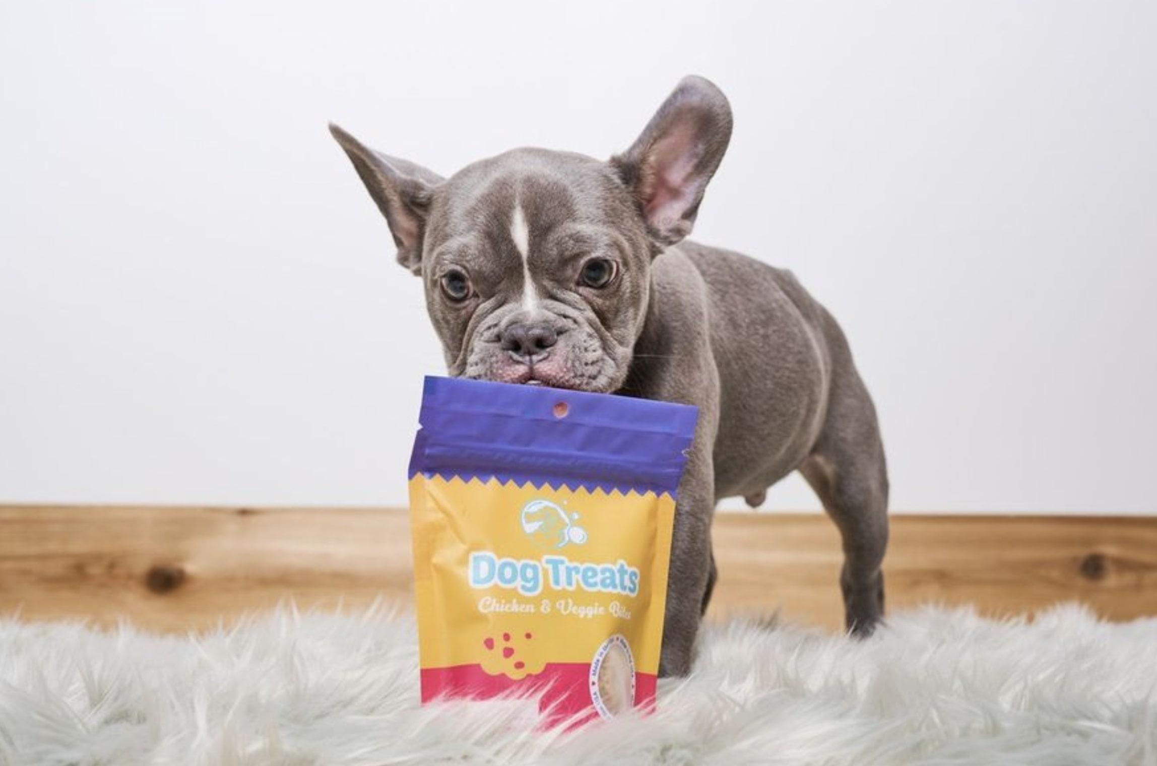 Belly Rubs Biscuit Bar Spa Expanding In Ashburn Farm The Burn belly-rubs-biscuit-bar-spa-expanding-in-ashburn-farm-the-burn